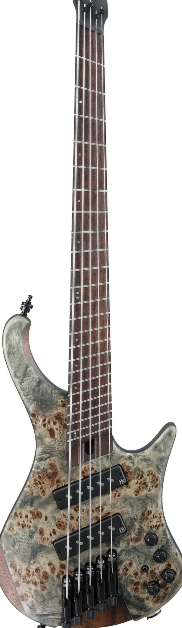 Ibanez EHB1505MS-BIF 5-String