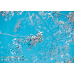 Jongsun 77mm Vier-Prisma Spezialeffektfilter für DSLR und Videokameras, FX Glas