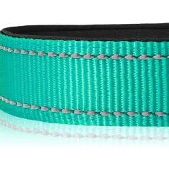 Joytale Gepolstertes Neopren Nylon Hundehalsband für große Hunde, verstellbar