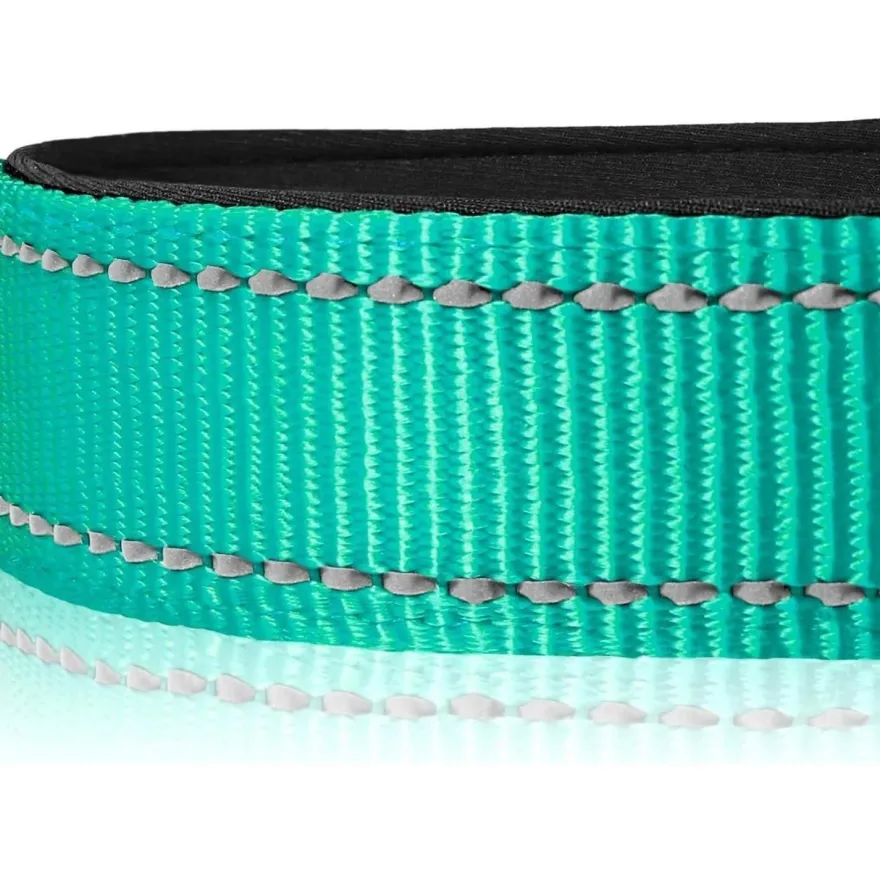Joytale Gepolstertes Neopren Nylon Hundehalsband für große Hunde, verstellbar