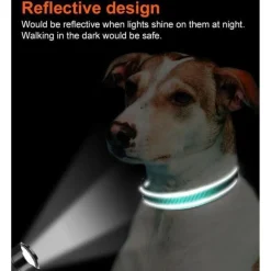 Joytale Gepolstertes Neopren Nylon Hundehalsband für große Hunde, verstellbar
