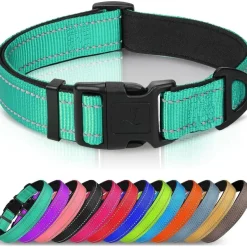 Joytale Gepolstertes Neopren Nylon Hundehalsband für große Hunde, verstellbar