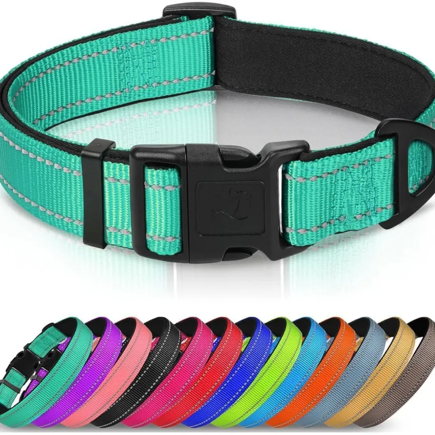 Joytale Gepolstertes Neopren Nylon Hundehalsband für große Hunde, verstellbar