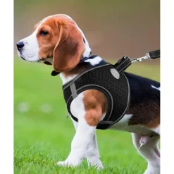 Joytale Hundegeschirr XL Schwarz, Reflektierend & Gepolstert, Air-Mesh