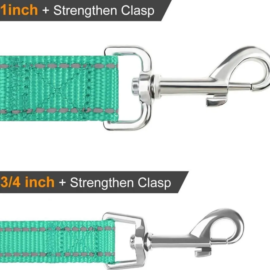 Joytale Hundeleine aus Nylon, 1,2m x 2,5cm, Türkis - Doppelseitig