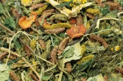 JR Grainless Getreidefrei Nagerfutter Futter Mix Zwergkaninchen 600 g