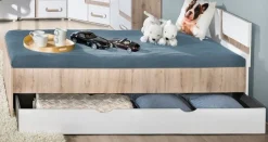 Jugendzimmer Kinderzimmer komplett Alex Set E Farbauswahl Schrank Schreibtisch Bett