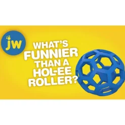 JW Pet Hol-ee Giggler Hundespielzeug