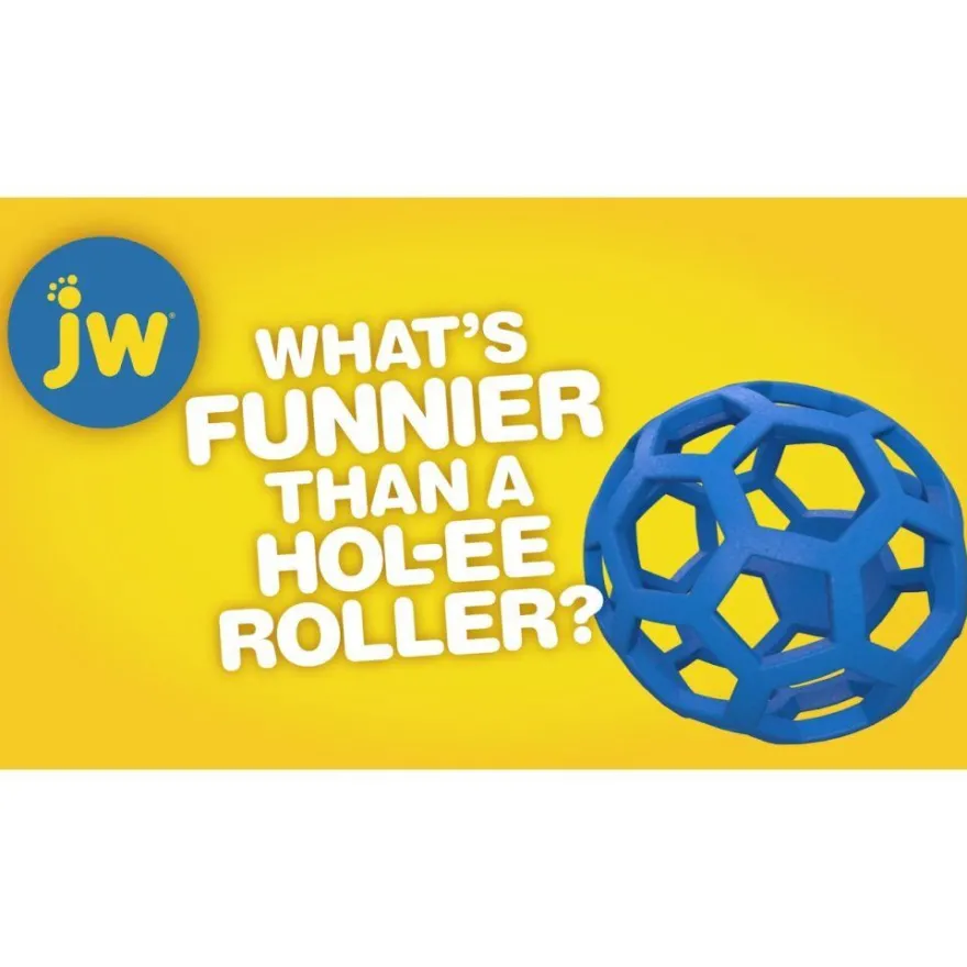 JW Pet Hol-ee Giggler Hundespielzeug