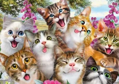 Katzen-Selfie 500 Teile Puzzle