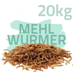20 kg Mehlwürmer getrocknet - Koifutter, Fische, Nager, Vögel, Reptilien, Koi