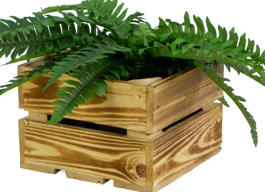Kleine Holzkiste