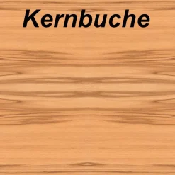 KOEL-A Couchtisch 110x69x41cm Parsolglas Ablage HPL-Kernbuche