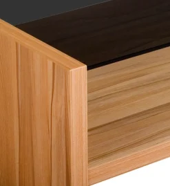 KOEL-A Couchtisch 110x69x41cm Parsolglas Ablage HPL-Kernbuche