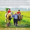 Krauses Glück - 375 Media - (DVD Video / Komödie)