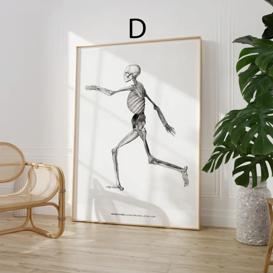 Kunst Poster · Geschenkidee · Berühmte Gemälde Vintage Illustrationen Japanis