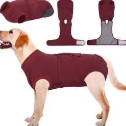 Kuoser Hundebody nach OP, Schutzanzug für Rüden & Hündinnen, Anti-Leck Body