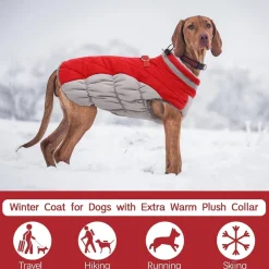 Kuoser Hundemantel Wasserdicht Winterjacke für Hunde L Rot