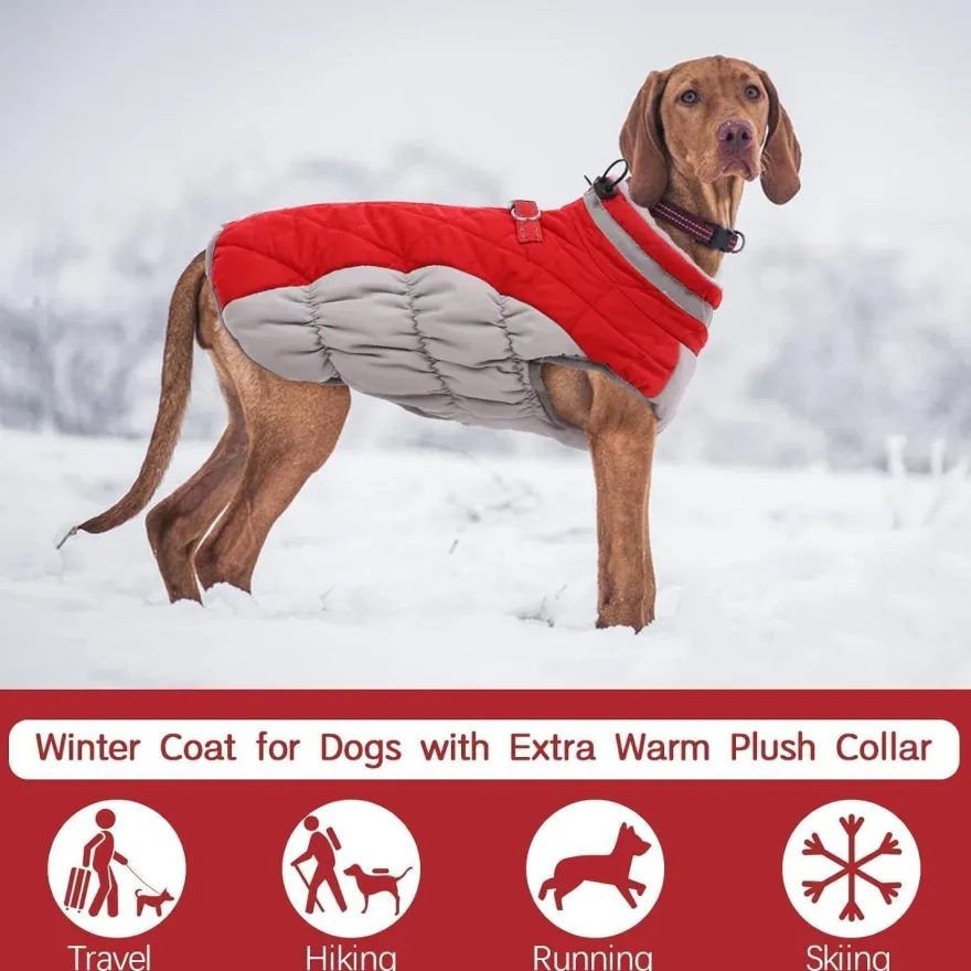Kuoser Hundemantel Wasserdicht Winterjacke für Hunde L Rot