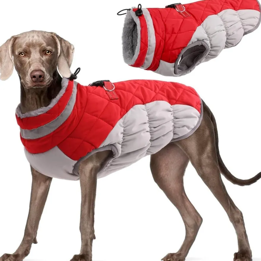 Kuoser Hundemantel Wasserdicht Winterjacke für Hunde L Rot