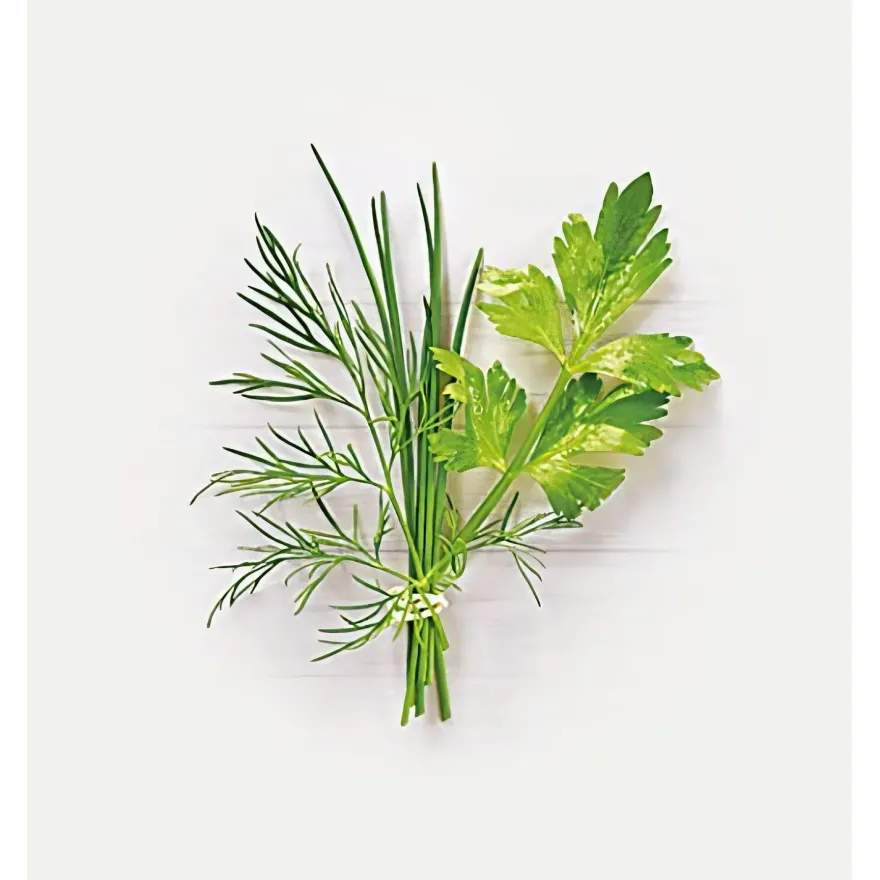 Lebensbaum Bio Gartenkräuter geschnitten 30g