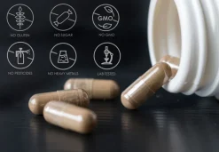 Leerkapseln • HPMC transparent leere Kapseln • vegan pflanzlich Größe 000