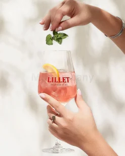 Lillet Geschenkset - Rose Aperitiv de France + 2 Schweppes Wild Berry 1L