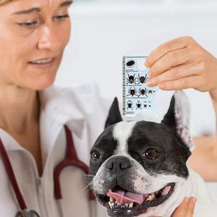 LNYMZD Zeckenkarte für Menschen, Hunde und Katzen - Einfache Zeckenentfernung
