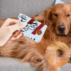 LNYMZD Zeckenkarte für Menschen, Hunde und Katzen - Einfache Zeckenentfernung