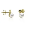 Luna Creation - 311.2080 - Luna-Pearls - Ohrstecker - Damen - 585 Gelbgold