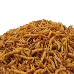 Mehlwürmer getrocknet 1 kg - Koifutter, Fische, Nager, Vögel, Reptilien, Koi