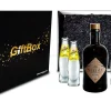 Mixcompany Geschenkset - Needle Blackforest Dry Gin 0,5L (40% Vol) + 4 x Schwep