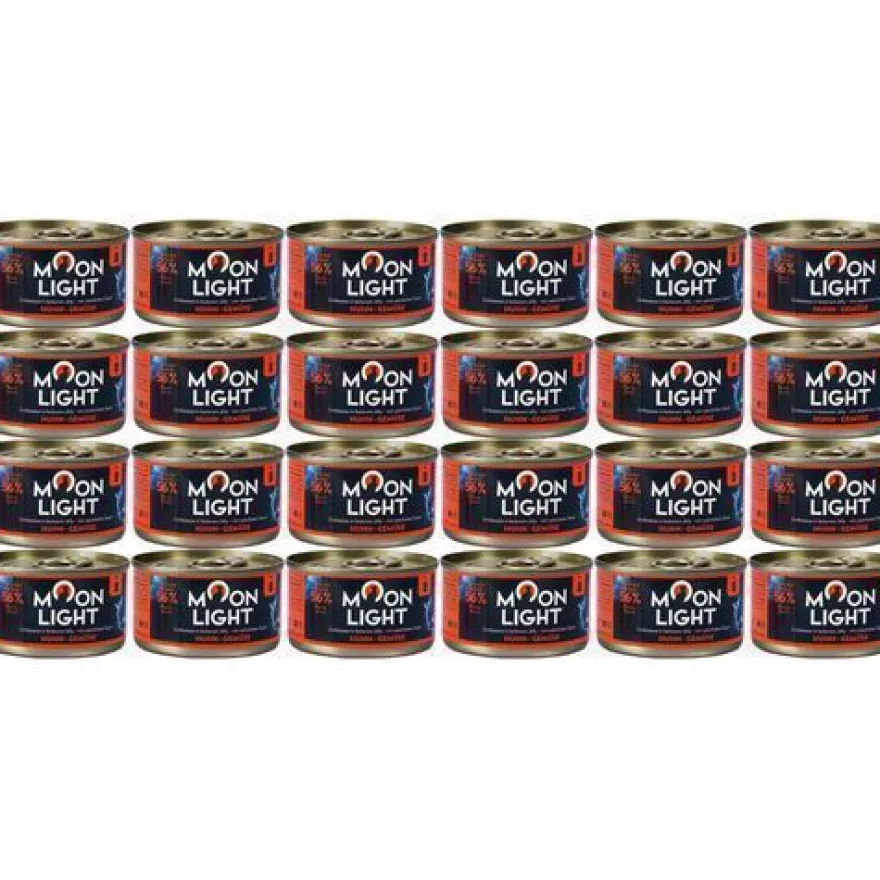 Mondschein-Dinner Nr. 8 Hähnchen und Gemüse 24 x 80 g