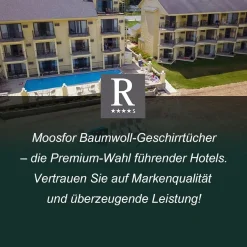 Moosfor Geschirrtücher 6er Set, 100% Baumwolle, 30 x 30 cm, Blau - Saugfähig