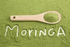 Moringa Blattpulver 10 kg