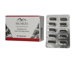 Mumijo Shilajit Kirgistan Fulvinsäure Huminsäure Mineralien gereinigt 60 Kapseln