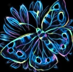 Neon Schmetterling