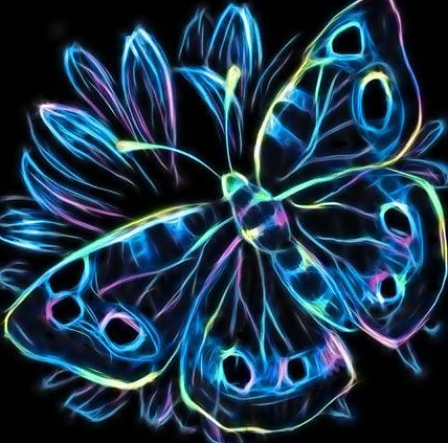 Neon Schmetterling