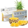 NEXUS Geschenkbox Melone für HnB Erhitzer, 200 Sticks, 0% Nikotin