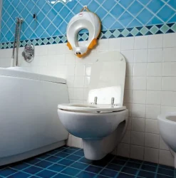 OK-Baby Kinder Toilettensitz Ducka türkis