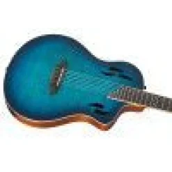 Ortega RTPDLX-FMA TourPlayer Dlx