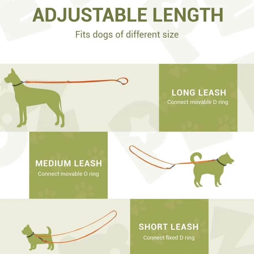 Petcooz Verstellbare Hundeleine 3m, Doppelleine aus Nylon für Hunde bis 30kg