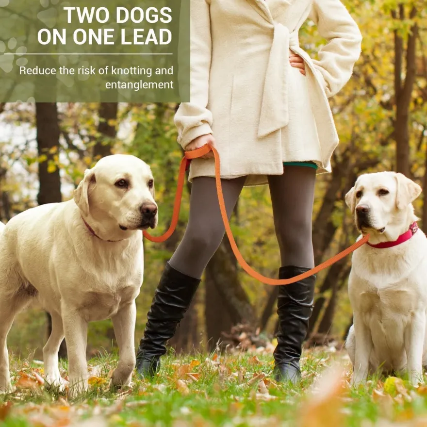 Petcooz Verstellbare Hundeleine 3m, Doppelleine aus Nylon für Hunde bis 30kg