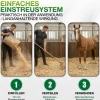 Pferdeeinstreu-Jumbogras®-Häcksel aus Elefantengras|Chinagras, Kartonaufsteller 1,5m³