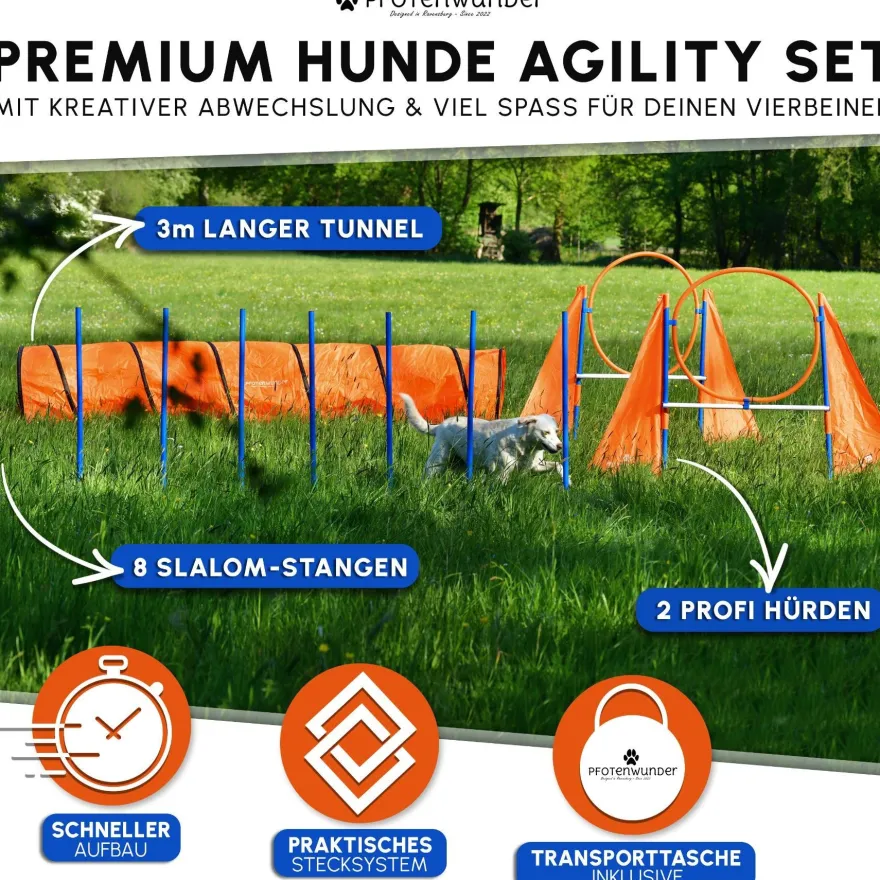 PFOTENWUNDER® XXL-Profi-Agility Set Hunde Groß + 3 Meter-Tunnel + 21 Min. Hundeschule