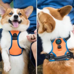 Phoepet 2019 Anti-Zieh-Hundegeschirr, verstellbar, reflektierend, mit Griff, 2