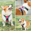 Phoepet Verstellbares Sicherheitsgeschirr für mittlere/große Hunde, gepolstert