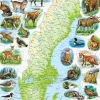Physische Karte - Schweden mit Tieren