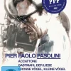 Pier Paolo Pasolini Collection - Plaion Pictures - (DVD Video