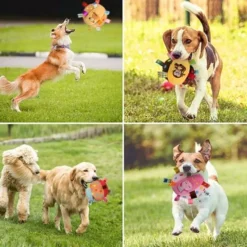 Plüschtiere Bissresistenter Plüsch griff Hunde spielzeug